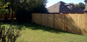 Privacy Fence